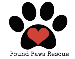 pound paws rescue